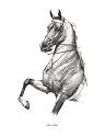 "Let's Dance" Original Drawing by Shivak