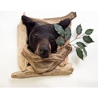 Black Bear Head Mount