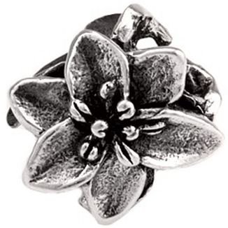 exotic charm