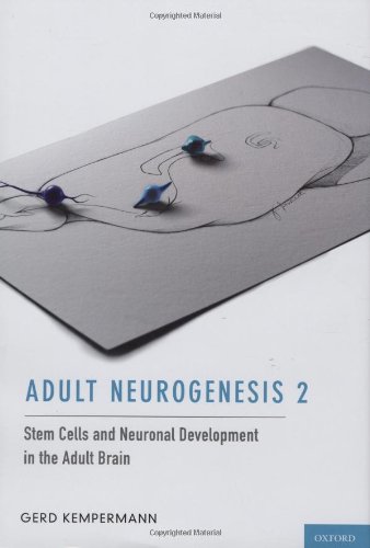 Adult Neurogenesis