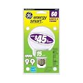 GE Energy Smart 15-Watt Globe Spiral Compact Fluorescent Light Bulb