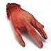 1PC Custom Life Size Halloween Haunted House Prop Bloody Severed Men's Hand w/ Ring Finger Choppered