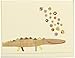C.R. Gibson Thank You Notes, Set of 10 Boxed Cards with Envelopes -Alligator