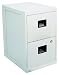 SentrySafe 6000 17-1/4 by 23-1/4 by 28-Inch Fire-Safe 2-Drawer Insulated Vertical File, Light Gray