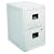 SentrySafe 6000 17-1/4 by 23-1/4 by 28-Inch Fire-Safe 2-Drawer Insulated Vertical File, Light Gray