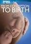 From Conception to Birth