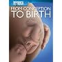 From Conception to Birth