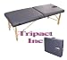 Tv 2008 Model New Professional Foldable Massage Table (Heavy Duty) Best Selling in Wholesale in Ca