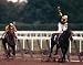 Seattle Slew 1977 Belmont Stakes #419 Print Poster Art Giclee Unknown 10x8