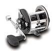 Penn GT Level Wind Reel