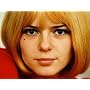 Evidemment (Coffret 13 CD + 1 DVD) ~ France Gall