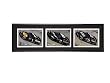 Tribute to Dale Earnhardt- 3 black cars Triple Shot Frame Series