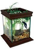 Current USA Bettacube Aquarium, Black Finish