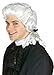 Rubie's Costume Colonial Judge Wig