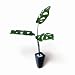 �s�l�H�ϗt�A���E���ԁtMonstera Friendrichsthalii(�����X�e�� �}�h�J�Y��)