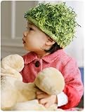 Kate's Moss (6-12 Months Small)