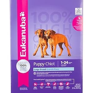 Eukanuba Large Breed Puppy Food, 33 lbs. Eukanuba Large Breed Puppy Food, 33 lbs.