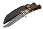 Damascus El Dorado Skinner 10.25 inch Hunting and Skinning Knife with all natural Sambar Stag Antler Handle, Brass Pommel and Genuine Leather Sheath