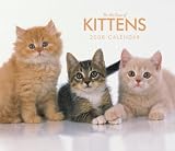 Kittens, For the Love of 2008 Deluxe Wall Calendar