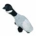 Canada Goose Migrator Bird Plush Dog Toy