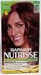 Garnier Nutrisse Nourishing Color Creme, 69 Intense Auburn (Spicy Salsa)