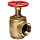 Moon 171-2561 Brass Angle Hose Valve, Rising Stem, 2-1/2" FNPT x FNPT