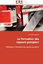 La formation des sapeurs-pompiers: Historique et formation des sapeurs-pompiers