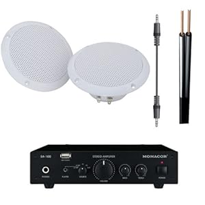 Amazon.es: Kit de altavoces de techo al aire libre con el amplificador