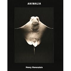 Animalia