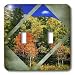 Susan Brown Designs Nature Themes - Fall Divided - Light Switch Covers - double toggle switch