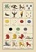 12 X 18 Stretched Canvas Poster Heraldic Charges - Dragon, Harpy, Tyger, et al.