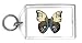 Keychain with galapagos, butterfly