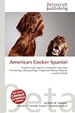 American Cocker Spaniel