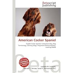 American Cocker Spaniel