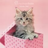 Official Rachael Hale Cats Calendar 2009