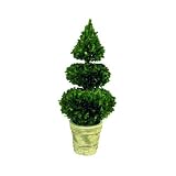 Preserved Boxwood Double Ball Sphere & Cone Topiary - 28"