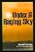 Book Under a raging sky