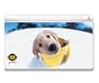 Golden Retriever Puppy - Official Hanadeka Club Animal Decorative Protector Skin Decal Sticker for Nintendo DS Lite