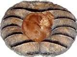 Hugger - Striped Raccoon Pet Bed : Size 27 INCH - STANDARD