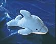 Aquatic Wonders - Dolphin by Gund