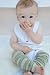 Baby : BabyLegs Olive/Khaki Leg Warmers
