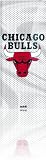 Skinit Protective Skin for iPod Nano 4G (NBA CHICAGO BULLS)