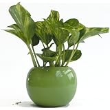 ���i�̏ڍ�