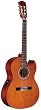 Alvarez RC20SC Acoustic Guitar, Natural