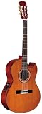 Alvarez RC20SC Acoustic Guitar, Natural