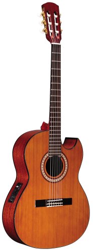 Alvarez RC20SC Acoustic Guitar, Natural