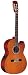 Alvarez RC20SC Acoustic Guitar, Natural