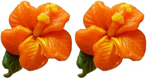 Fimo Flower Pierced Mini Earrings Hibiscus With Leaf Melon