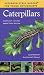 Young Naturalist Caterpillars