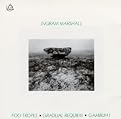 Fog Tropes/Gradual Requiem